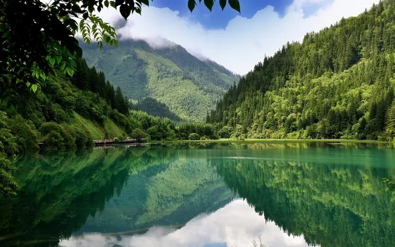 电子信息化